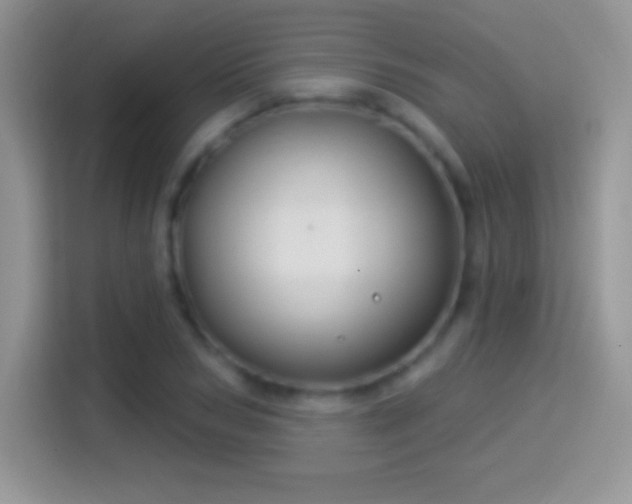 X0000116010978200911251117