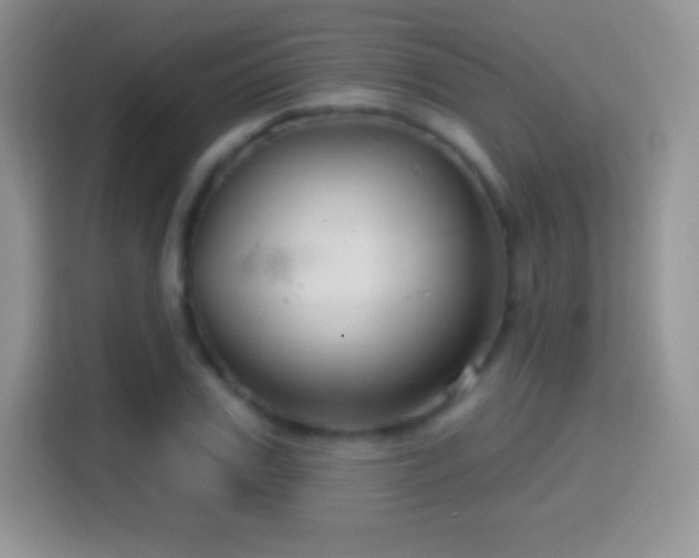 X0000116010979200911251117