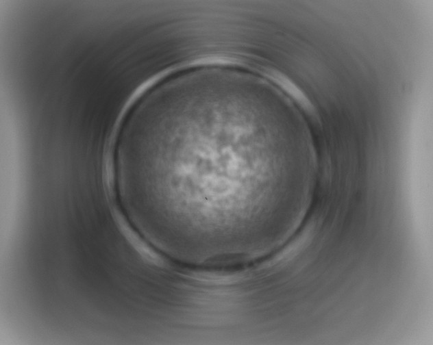 X0000116010980200911251117