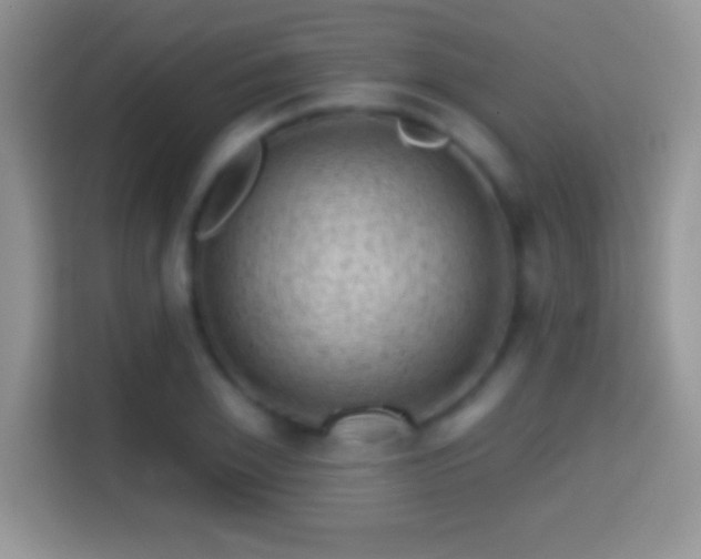 X0000116010981200911251117