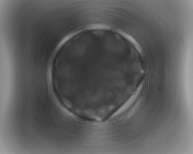 X0000116010983200911251117