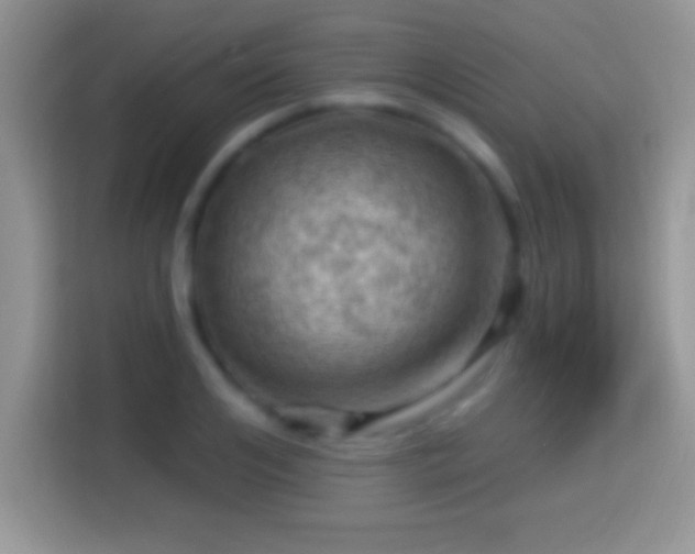 X0000116010984200911251117