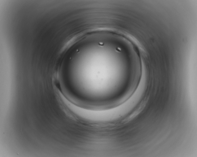 X0000116010985200911251117