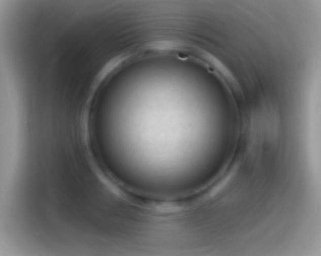 X0000116010986200911251117