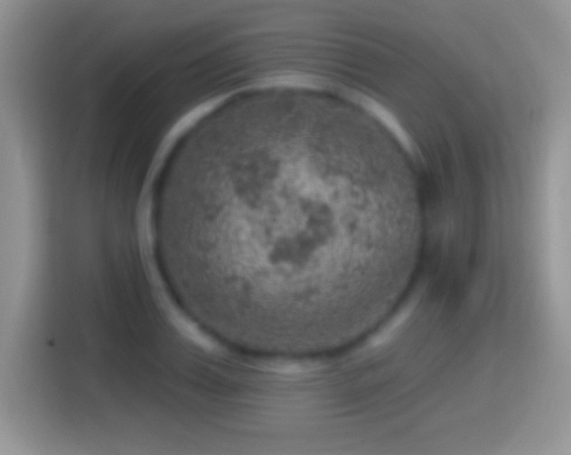 X0000116010987200911251117