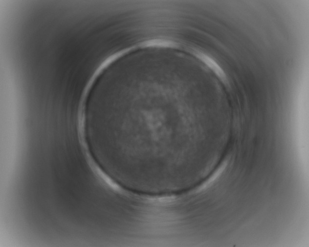 X0000116010992200911251117