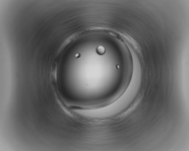 X0000116010993200911251117