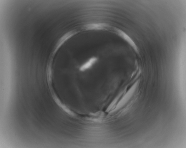 X0000116010994200911251117