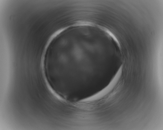 X0000116010995200911251117
