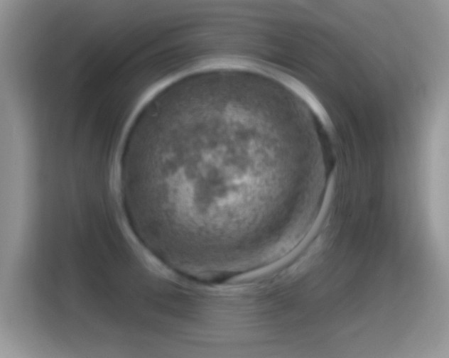 X0000116010996200911251117