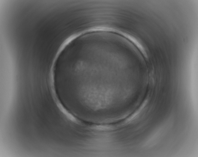 X0000116010998200911251117