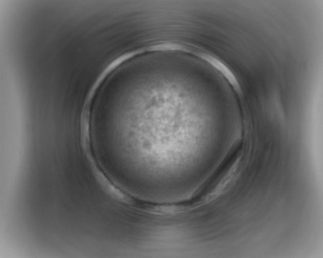 X0000116011000200911251117