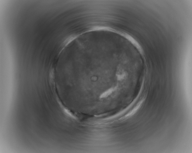 X0000116011001200911251117