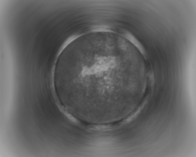 X0000116011002200911251117