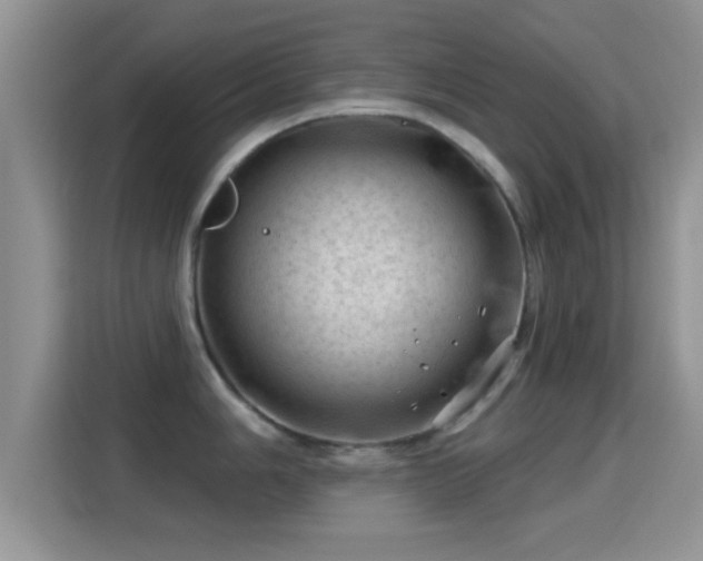 X0000116011006200911251117