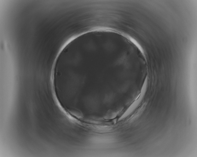 X0000116011007200911251117