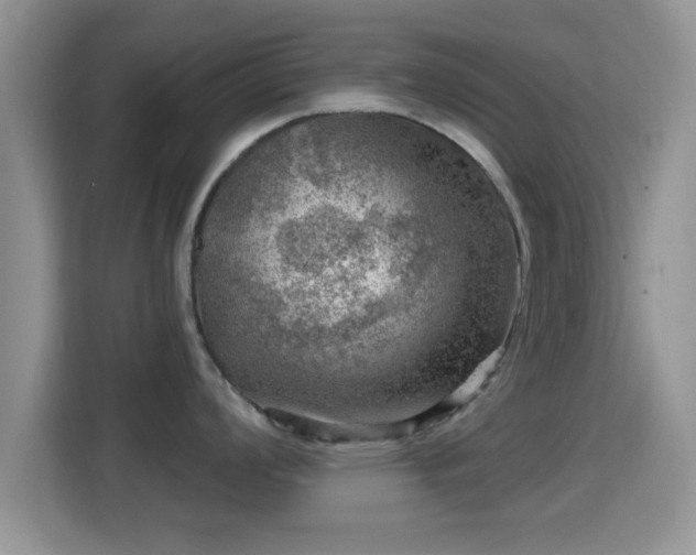 X0000116011008200911251117