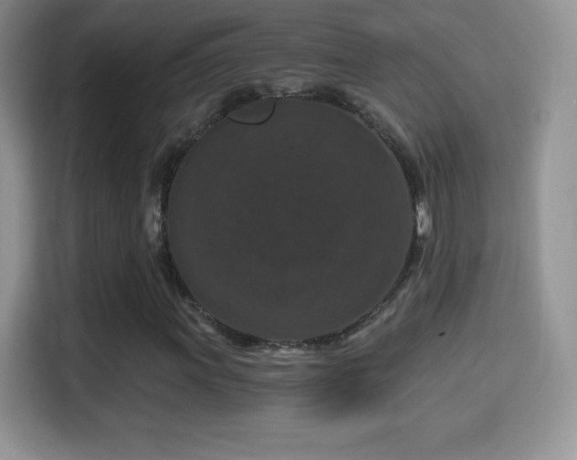 X0000116011011200911251116