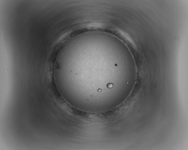 X0000116011015200911251116