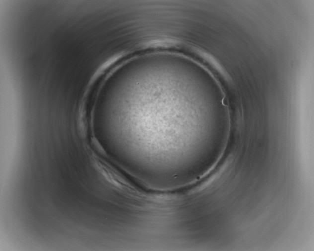 X0000116011018200911251116