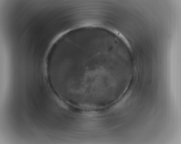 X0000116011019200911251116