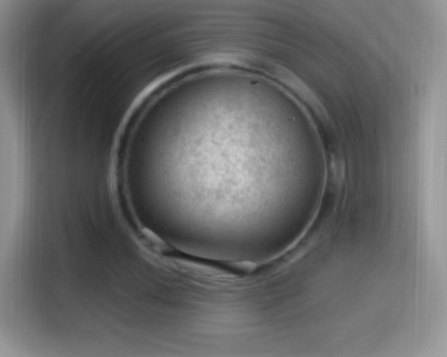 X0000116011020200911251116