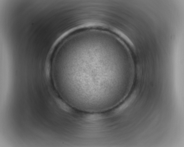 X0000116011021200911251116