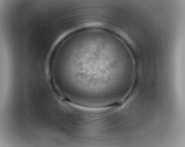 X0000116011022200911251116