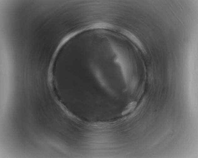 X0000116011024200911251116