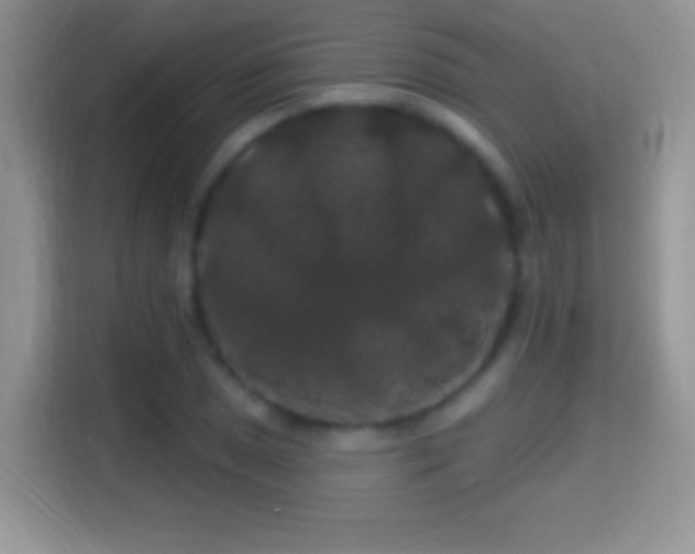 X0000116011025200911251116