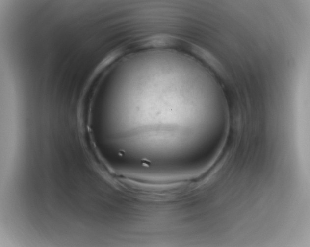 X0000116011026200911251116