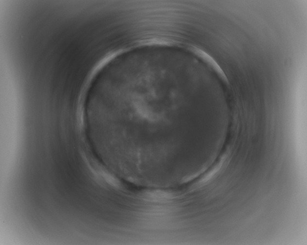 X0000116011027200911251116
