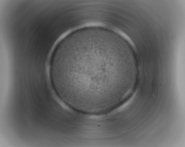 X0000116011029200911251116