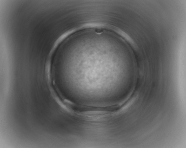 X0000116011030200911251116