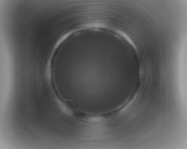 X0000116011031200911251116