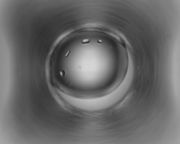 X0000116011034200911251116