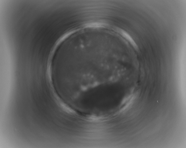 X0000116011035200911251116
