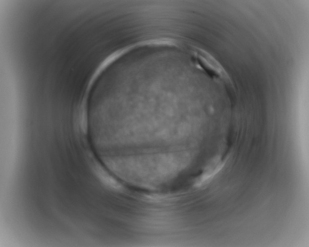 X0000116011036200911251116