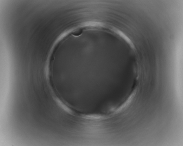X0000116011037200911251116