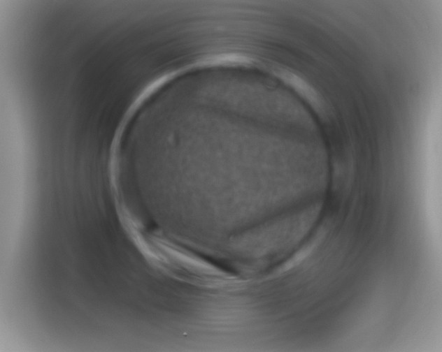 X0000116011038200911251116