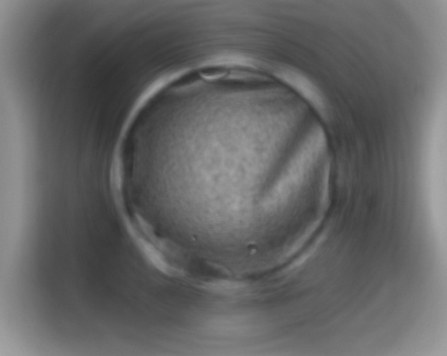 X0000116011040200911251116