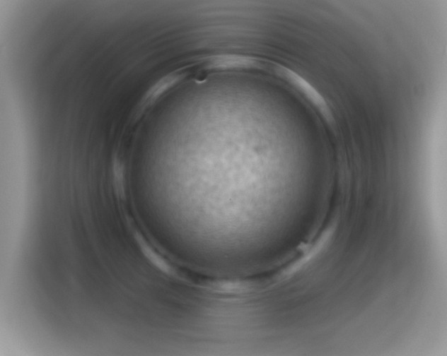 X0000116011041200911251116