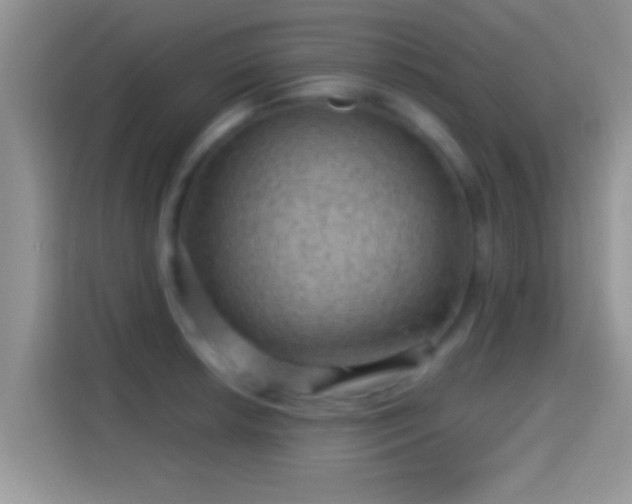 X0000116011042200911251116