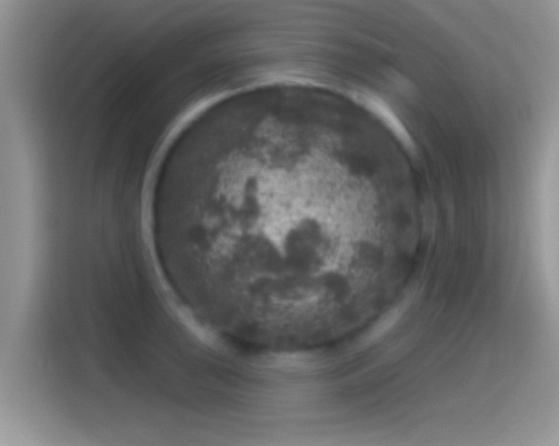 X0000116011043200911251116