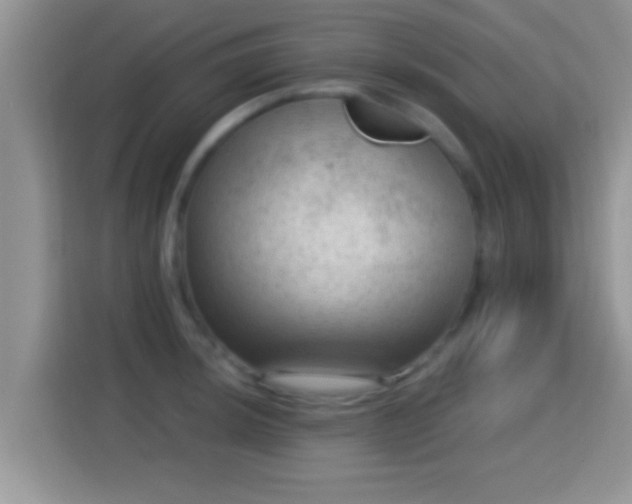X0000116011044200911251116