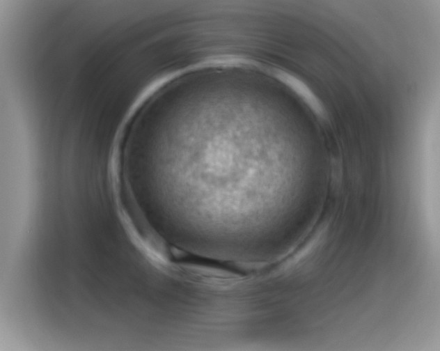X0000116011046200911251116