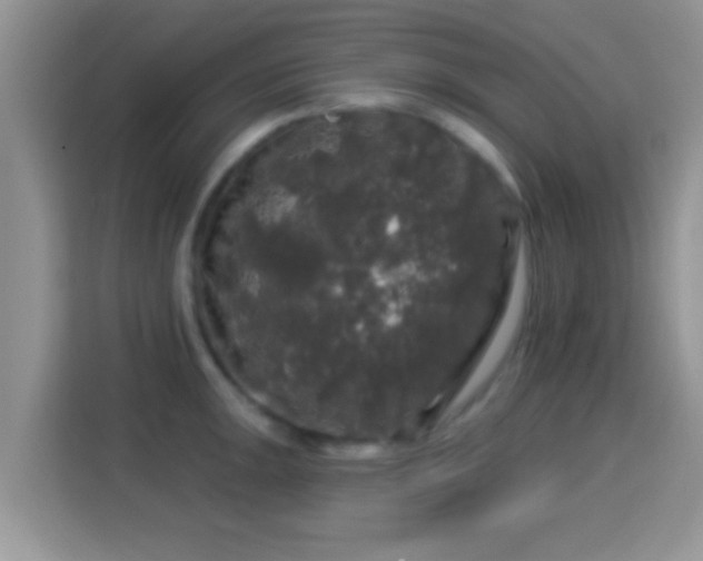 X0000116011047200911251116