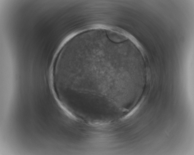 X0000116011048200911251117