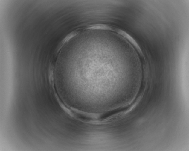 X0000116011049200911251117