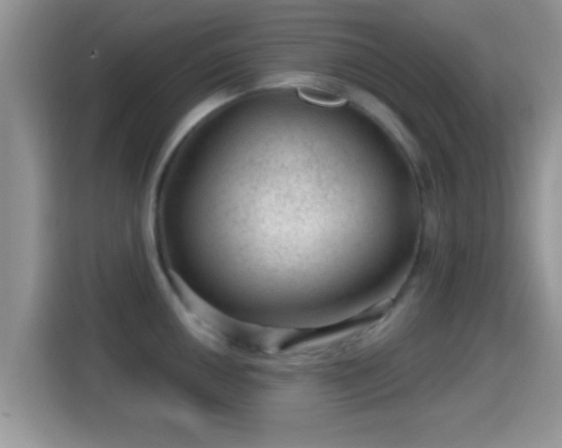 X0000116011050200911251117